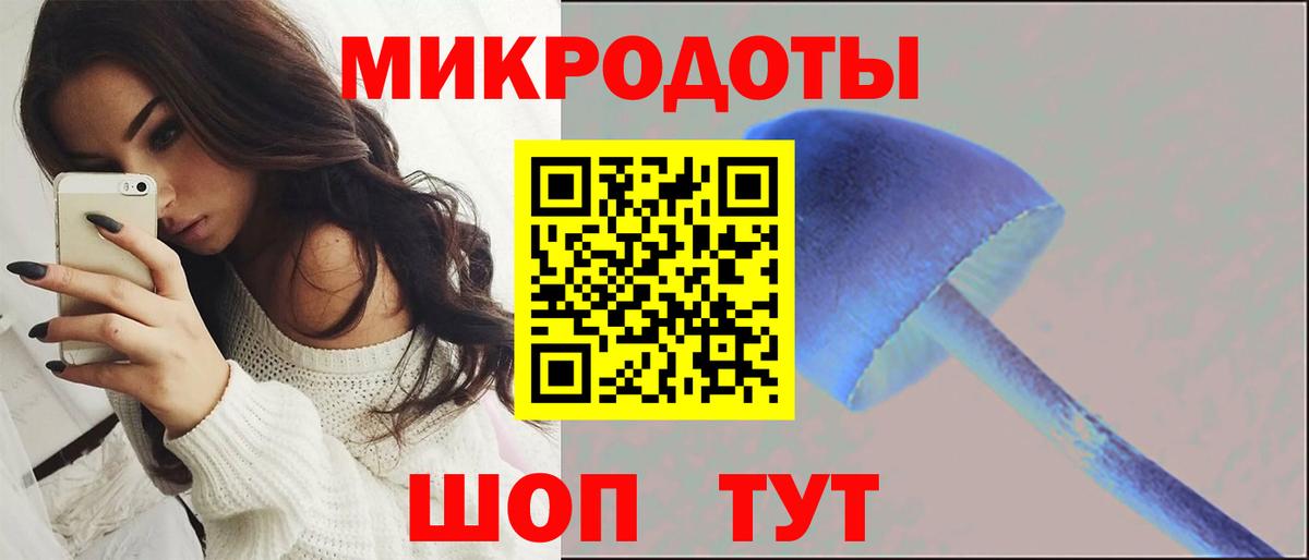 Псилоцибиновые грибы мицелий Краснокаменск