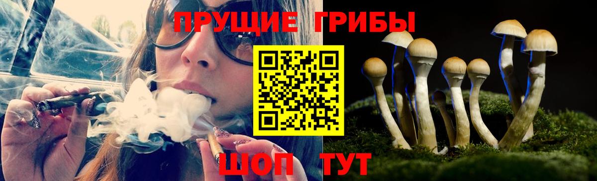 Псилоцибиновые грибы ЛСД  Вход с VPN  Краснокаменск 